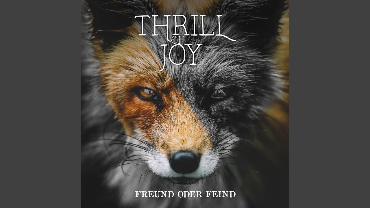 在 YouTube 上观看 Freund oder Feind 在 YouTube 上观看 Freund oder Feind