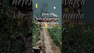 Kendini Anında Daha İyi Hissetmenin 5 Bilimsel Yolu İyihisset