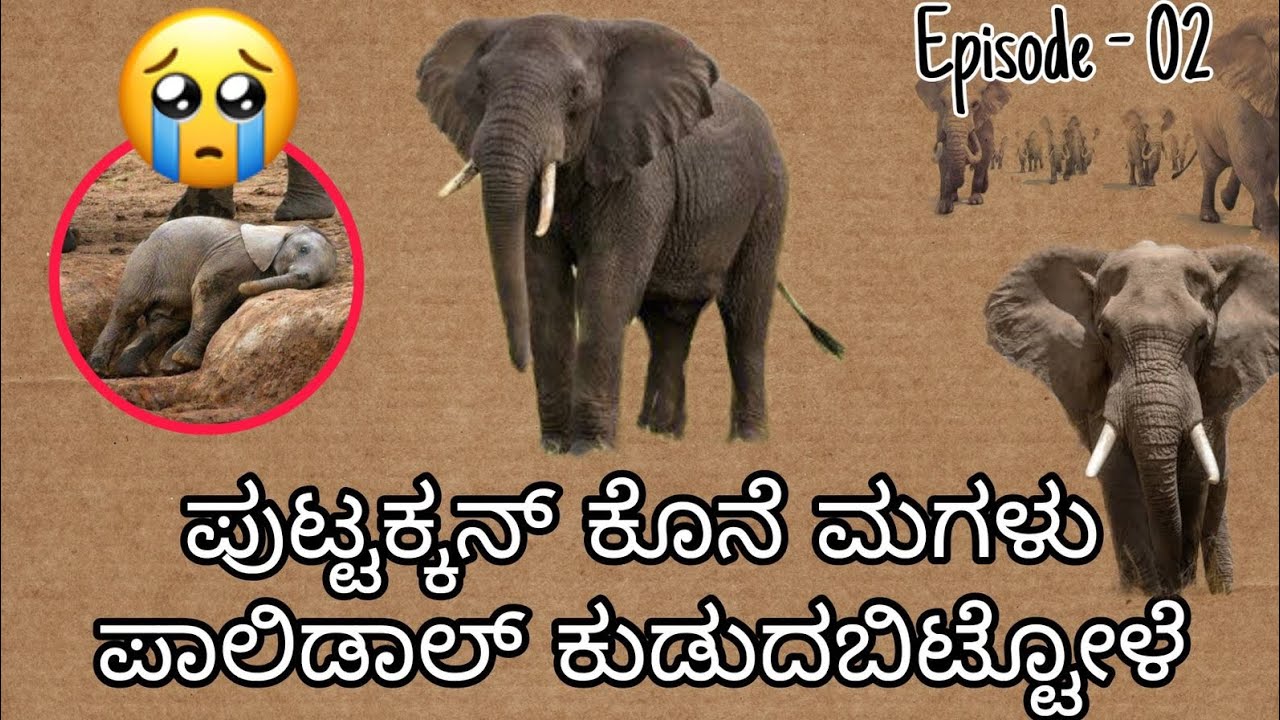 Puttakkan Maglu Polidol Drunken | Puttakkan Mane Story Episode-02 | Shridharrangaswamy | Animalvoice