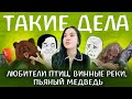 Счастливая черепаха, Винные реки, Пьяный медведь | Такие дела