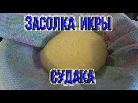 Как посолить икру судака в домашних условиях