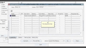 Serial Control items in Oracle Applications
