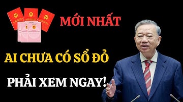 Thủ tục cấp Giấy chứng nhận quyền sử dụng đất lần đầu từ ngày 15-8-25| Luật đất đai