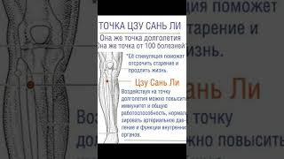Точка долголетия #исцеление #долголетие #акупунктура