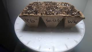 Indoor Grow Week One! (Microgrowery)