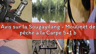 Moulinet De Pêche à La Carpe Sougayilang 5+1 Roulements Acier Inox - Drag Fibre Carbone Puissant Pour Pêche En Eau Douce Et Mer
