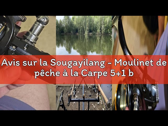 Sougayilang - oulinet de pêche à la Carpe 5 1 blindé en Acier Sougayilang - oulinet de pêche à la Carpe 5 1 blindé en Acier