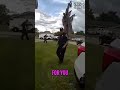 Car Crash & Emergency: Fence, Sign, and Patient Transport