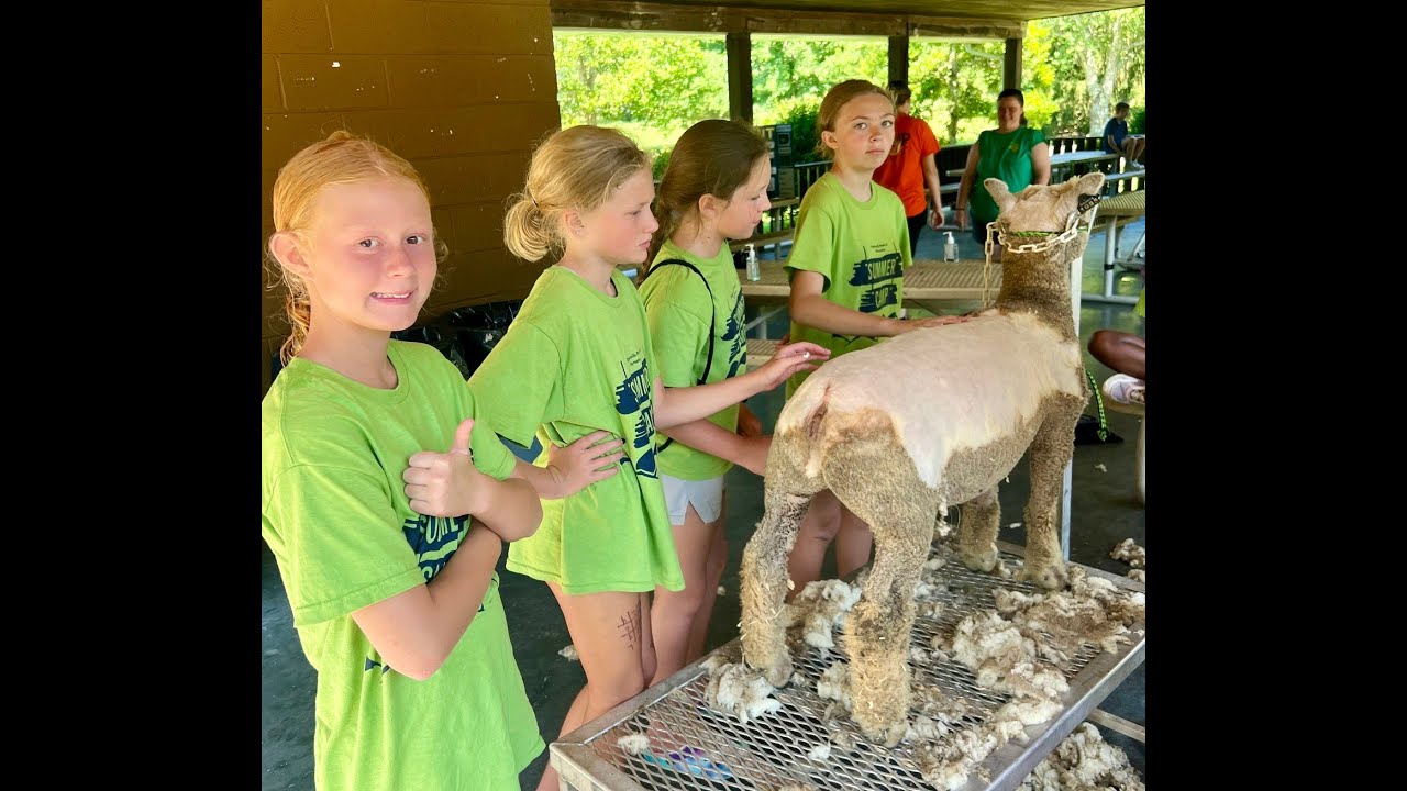 Rogersville Parks and Rec's 2023 "Summer of Fun" exceeded expectations