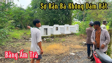 3 Cha Con Gí Con Hổ Mang To Bằng Ấm Trà Mà Không Dám Bắt Vì Sợ Rắn Bà | Mười Thương SB