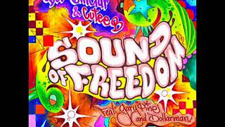 Bob Sinclar & Cutee B feat. Gary Pine & Dollarman - Sound Of Freedom (2007) Resimi