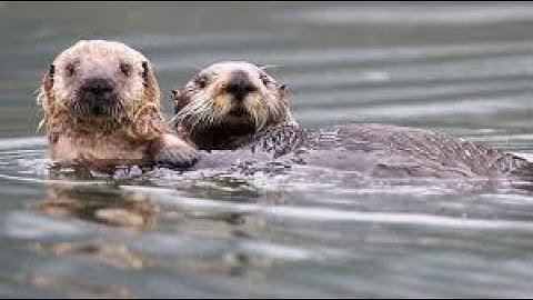 [Chinese] Chapter 9: transaction part 1