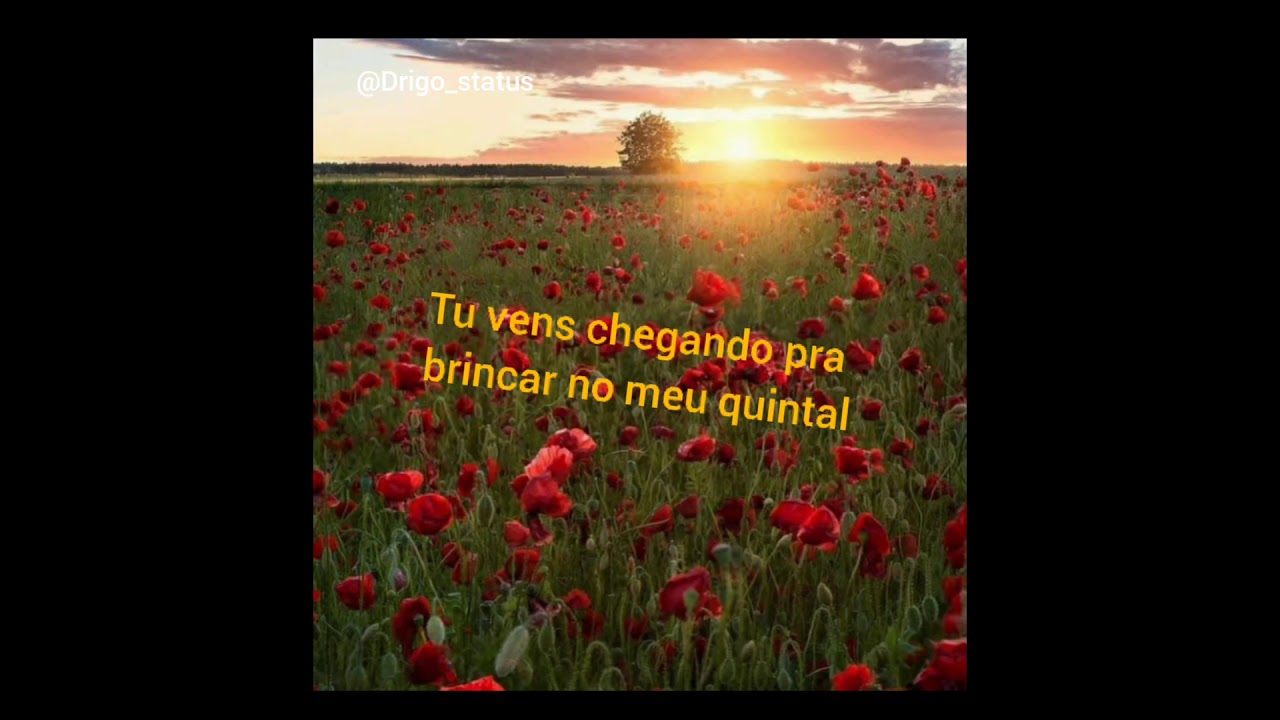 Da Pluma Leve Das Paixoes Que Vem De Dentro