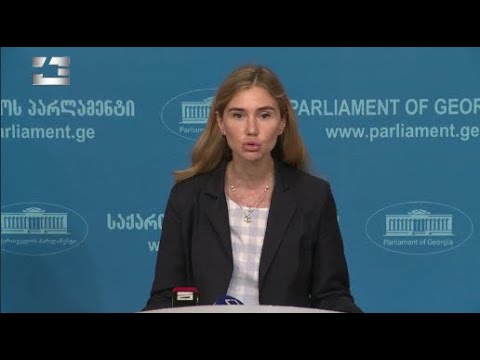 ღარიბაშვილმა მთავრობის სხდომაზე პირდაპირ გაუხსნა გზა ძალადობას - თინა ბოკუჩავა