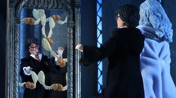 Dumbledore and the Mirror Desire || Robot Chicken