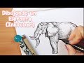 Dibujando un Elefante (Inktober) 🐘 | ASMR