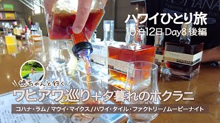 ハワイひとり旅10泊12日】Day8後編 │ 徳ちゃんと巡るワヒアワ