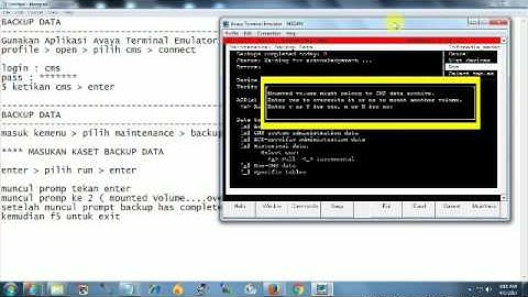 Backup Avaya CMS (Call Management System)