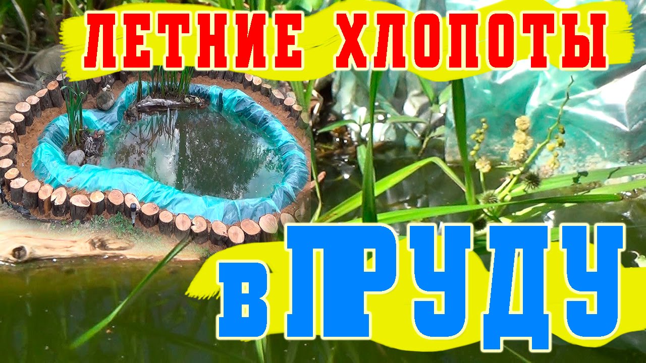 Пруд Без Хлопот Интернет Магазин