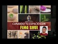 Curando Tu Espacio con Feng Shui