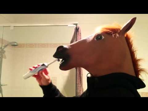 How To Brush a Horses Teeth