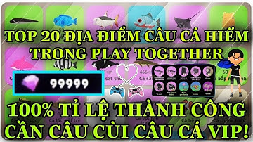 Play Together | Top 5 Địa Điểm Câu Cá Tốt Nhất - Thời Gian Câu Cá Hiếm Không Nên Bỏ Qua | Hoàng TTN