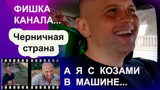 Черничная страна или "фишка" канала "Черничный хутор". Веселые  и позитивные видеосюжеты