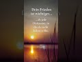 Stimmst du mir zu? #sprüche #bewusstsein #motivation #lebensweisheiten