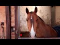 The Kings Troop prepare to salute | HRH The Prince Philip, Duke of Edinburgh  | British Army