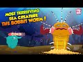 Bobbit Worm Quiz