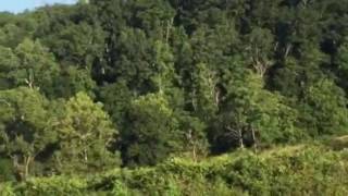 https://youtu.be/Eo7iKxErOho Cheapest Bed and Breakfasts in Charlottesville Virginia http://CvilleS