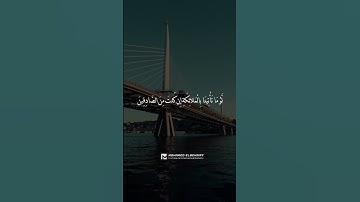 تلاوة هادئة للشيخ هزاع البلوشي - من سورة الحجر - راحه نفسيه