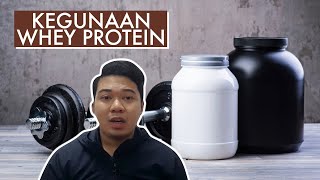 Kegunaan Whey Protein