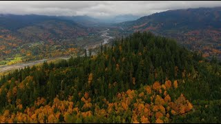 Upper Rutsatz Forest -  2025 CCA conservation funding presentation