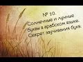 № 10. Солнечные и лунные буквы в арабском языке. Секрет заучивания букв.