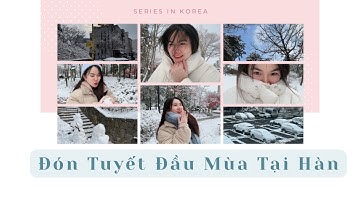 Đón Tuyết Đầu Mùa Tại Hàn | Welcoming the First Snow of the Season in Korea