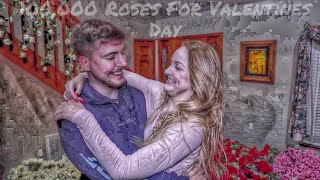 Reaction of MrBeast Girlfriend  on  100,000 Roses For Valentines Day