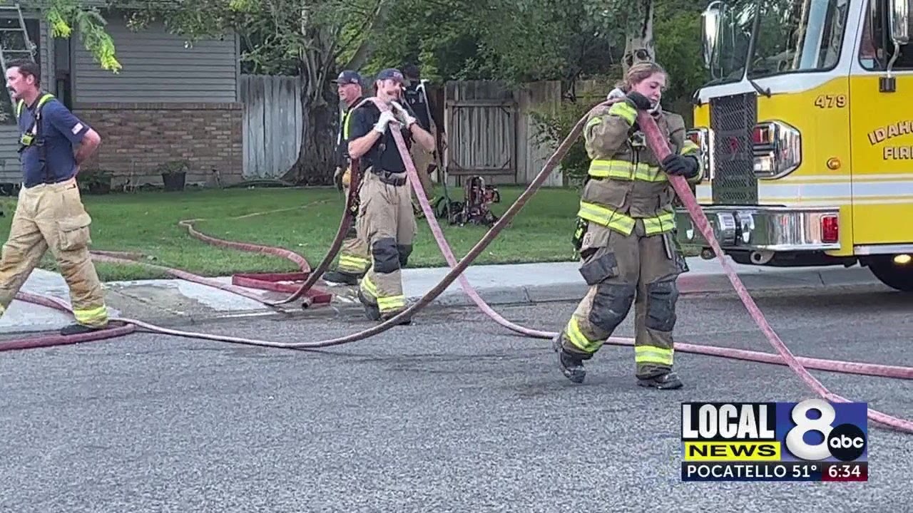 2 dogs saved from house fire - YouTube