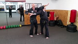 Practical Hapkido cross wrist grab number 4
