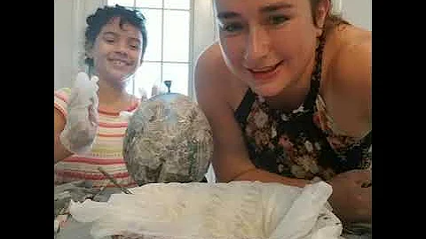 Papier Mache Globe | Second Grade Homeschool | Girls Who Craft