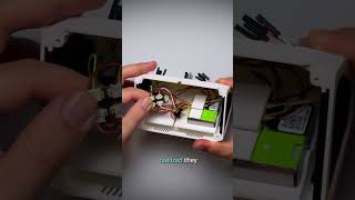 3000+ Watchers Changed This DIY Air Monitor