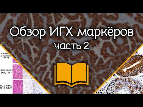 Общий обзор иммуногистохимических маркёров: Часть 2