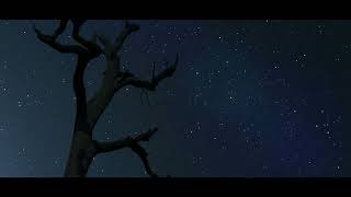 Rural Tourism Trailer screenshot 1