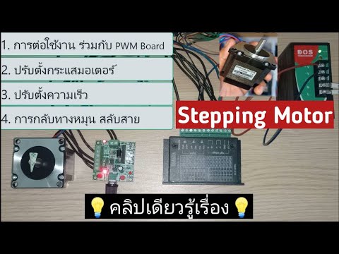 วีดีโอ: Stepper: บทวิจารณ์และผลลัพธ์