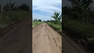 Đường Ôtô Dt3390M² Lucgiá 1,6Ty Xã Bình Tịnh Huyện Tân Trụ Long Ann Gần Tt Tân Trụ0909173565