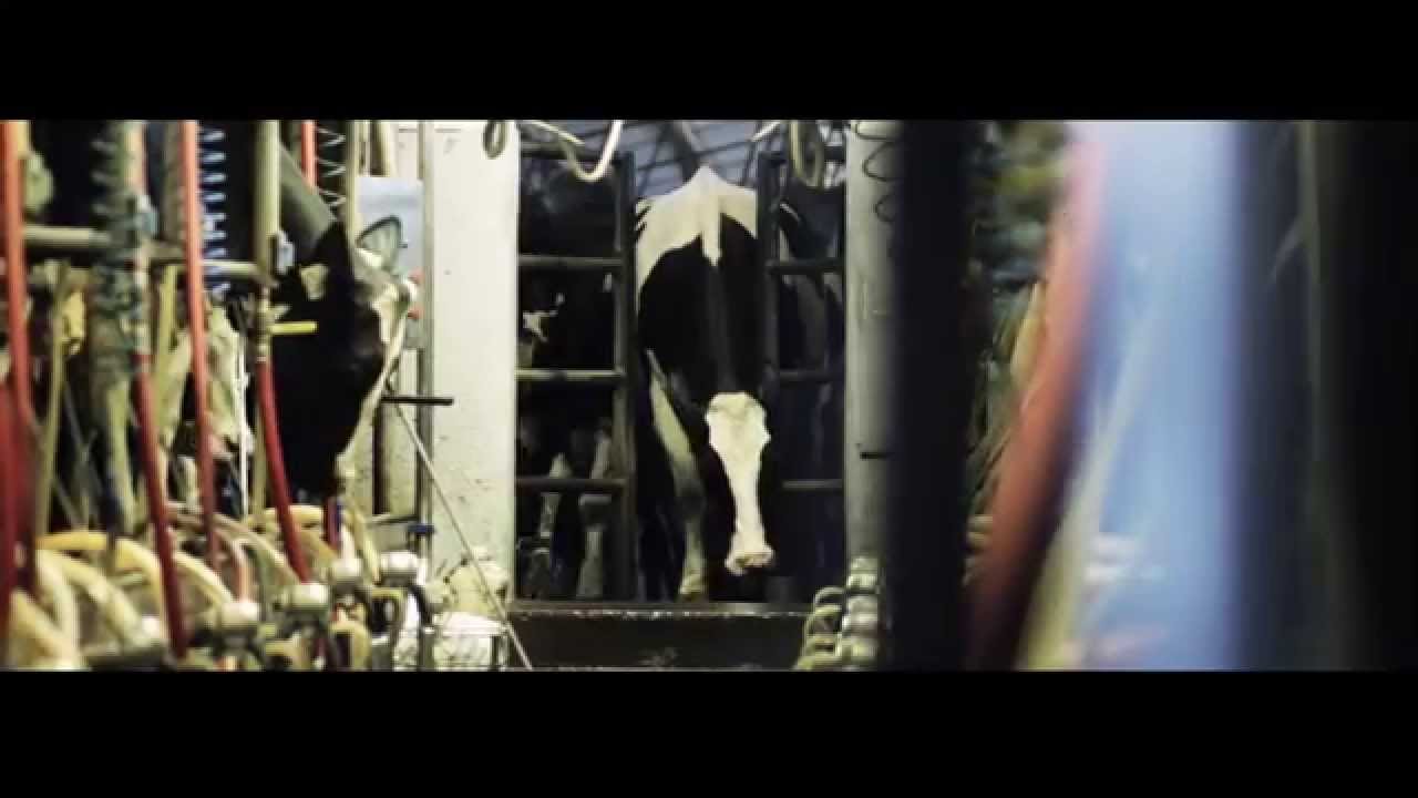 Lochmead Farms 2 Family Dairy Products, Ice Cream, History YouTube