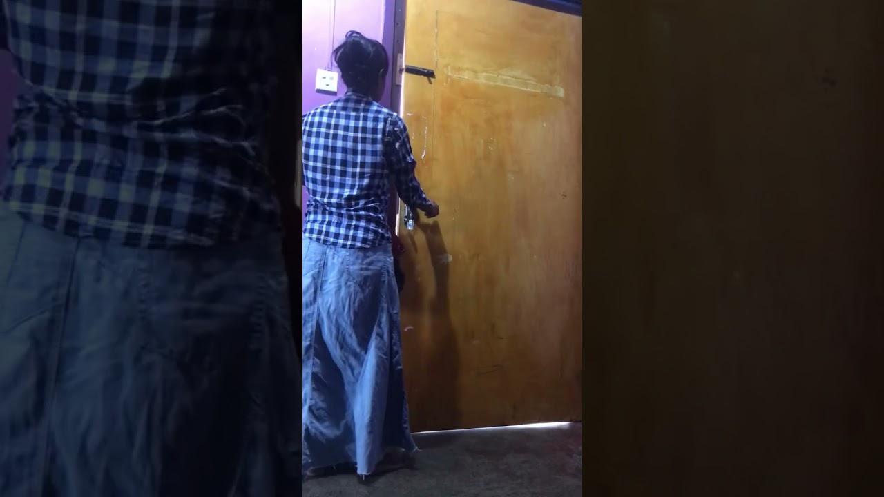 adventures of a city cat 