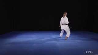 Shito Ryu Shukokai Jitte Rear View