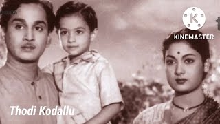 Aaduthu Paaduthu.  Thodi Kodallu (1957) ANR GARU SAVITRI GARU.  Cover Duet. Singer Nukala Garu & Me