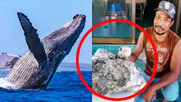 Cos'è il vomito di balena?